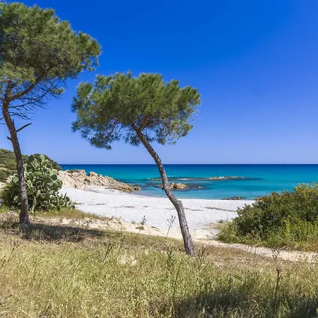 Διαμέρισμα Casa Euforbia Orosei